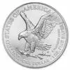 1 oz silver eagle 2025 x100 – Image 3